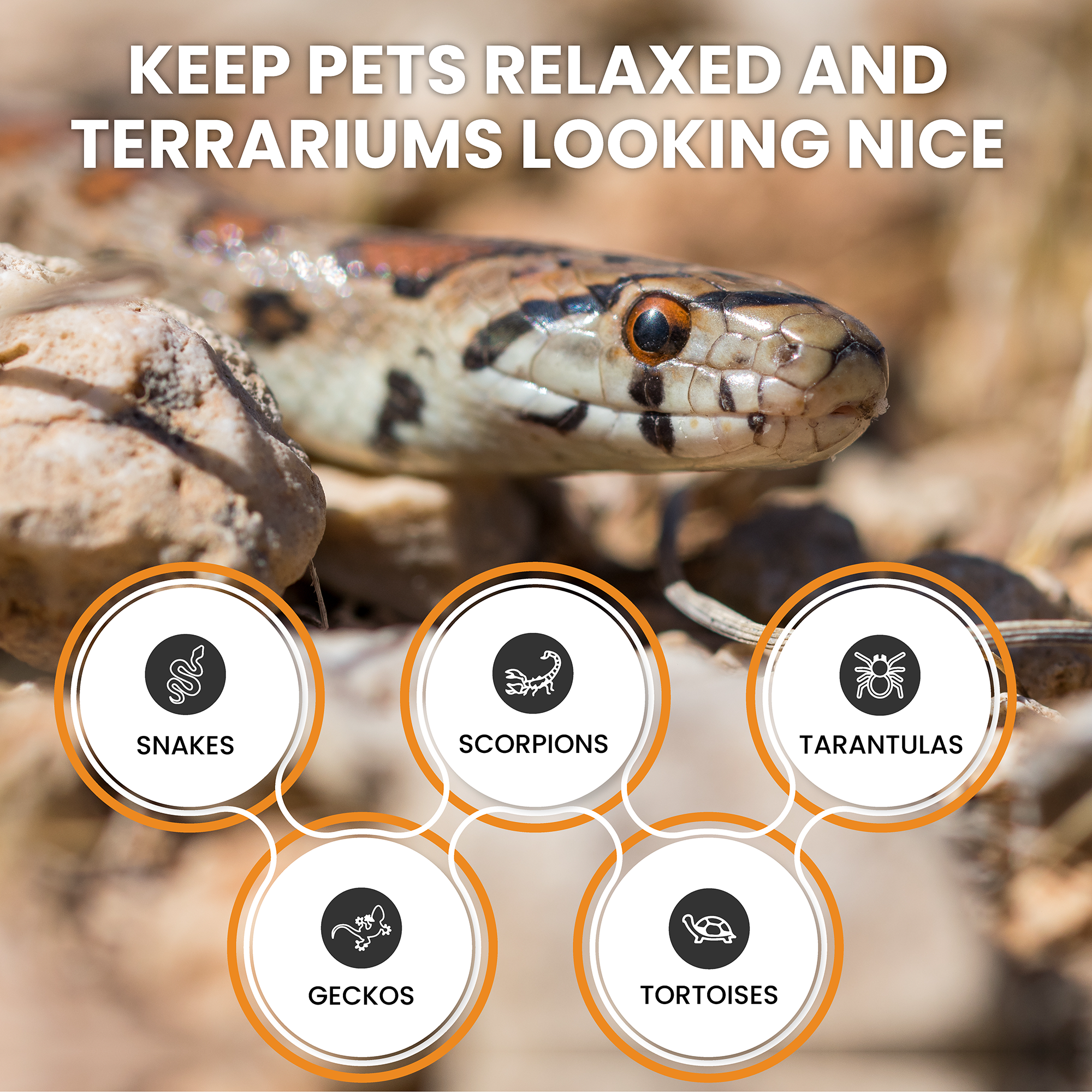 ReptiEarth Fine Coconut Fiber Mix; Ready to Use