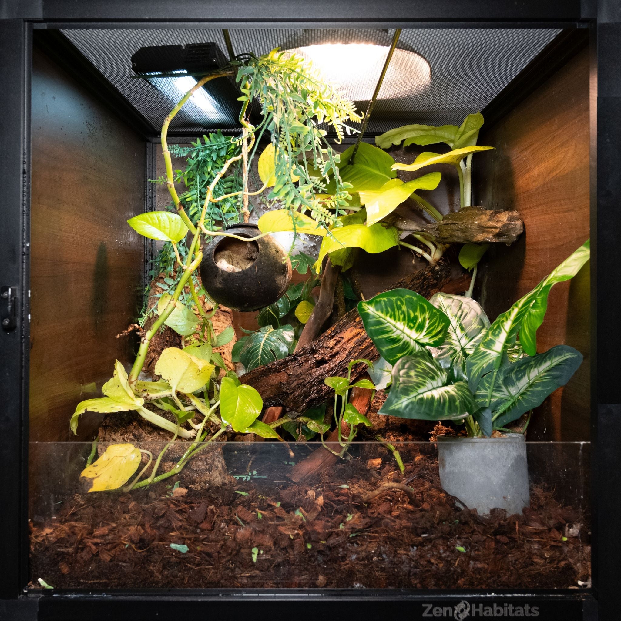 2'x2'x2' Reptile Enclosure - The Zen Habitat 3.0