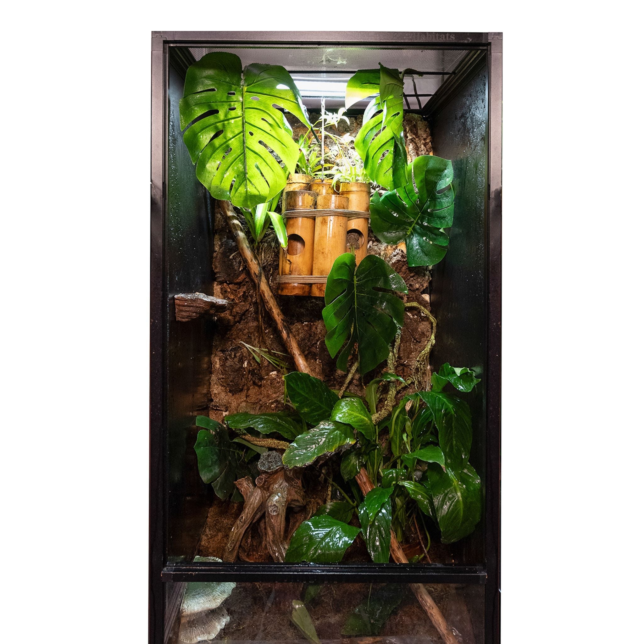 2'x2'x4' Reptile Enclosure - The Zen Habitat 3.0