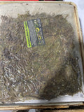 Sphagnum moss for reptiles