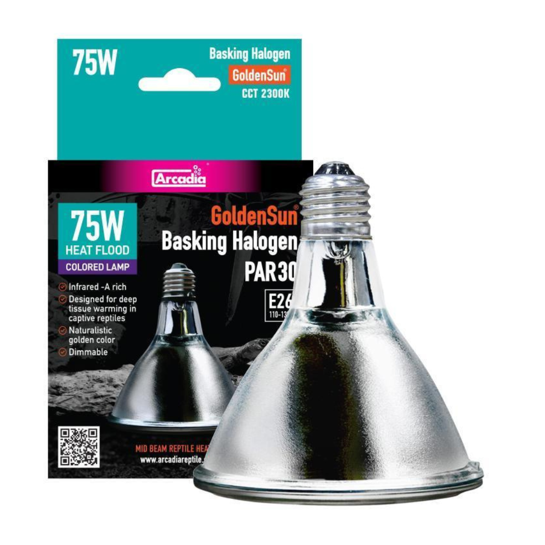 Arcadia GoldenSun Basking Halogen Heater