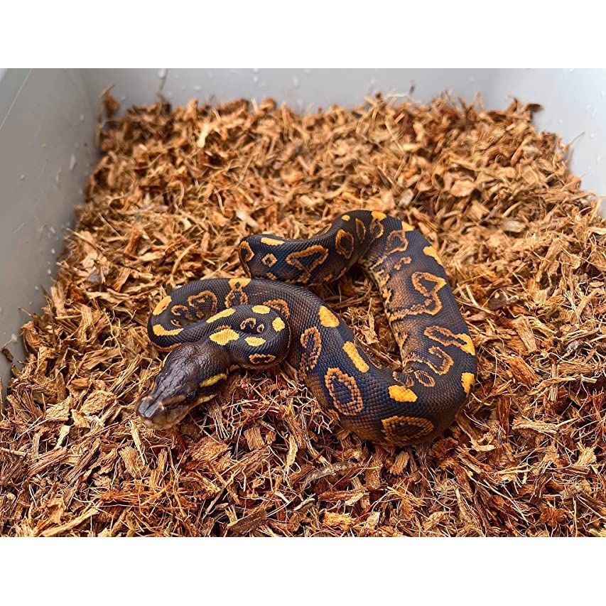 MicroChip Fine Coconut Chip Mix; Ready to Use