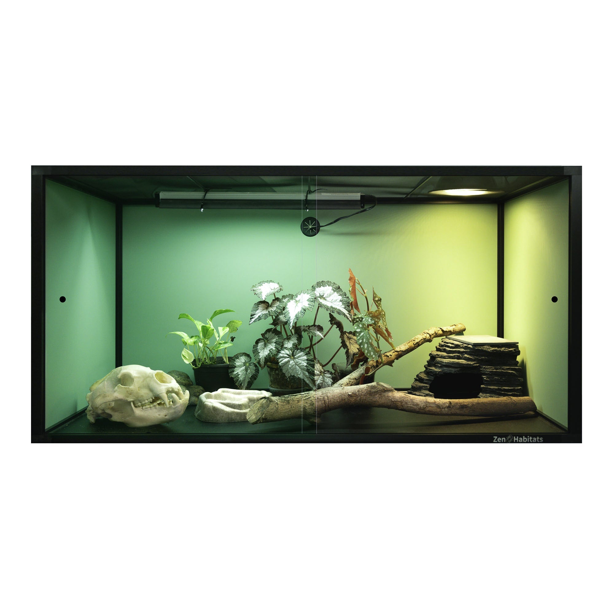 4'x2'x2' Reptile Enclosure - The Zen Habitat 3.0