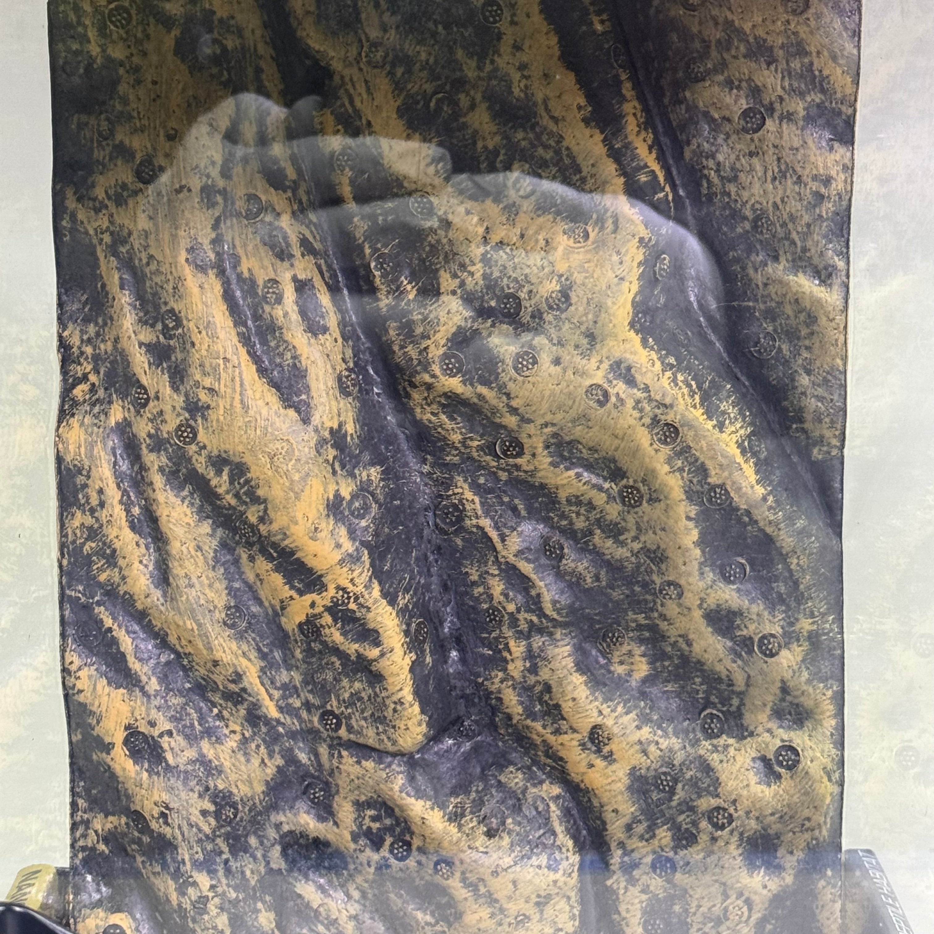 EXO-TERRA Natural Terrarium Advanced Reptile Habitat Sz 8" x 8" x 12" PT2601.BX