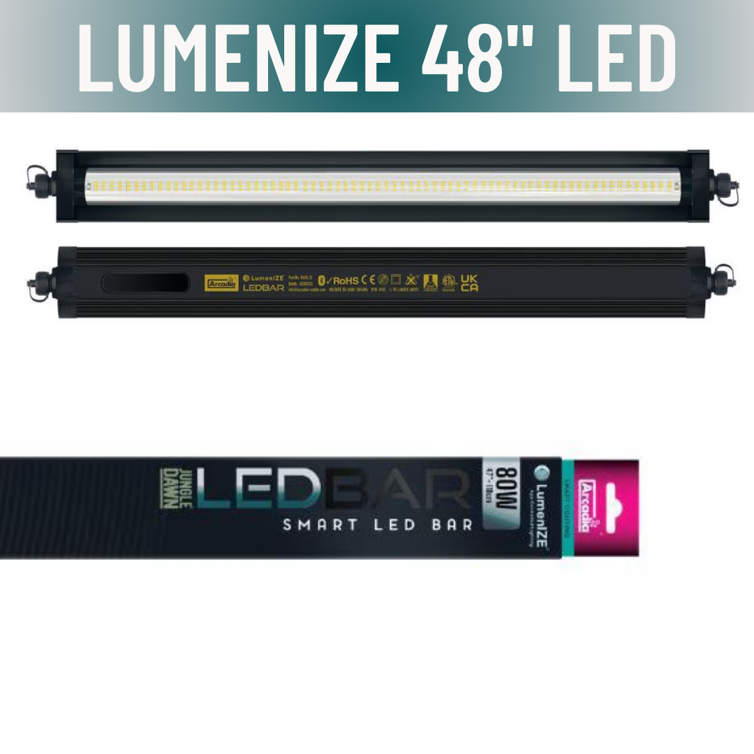 LumenIZE Jungle Dawn LED Bar