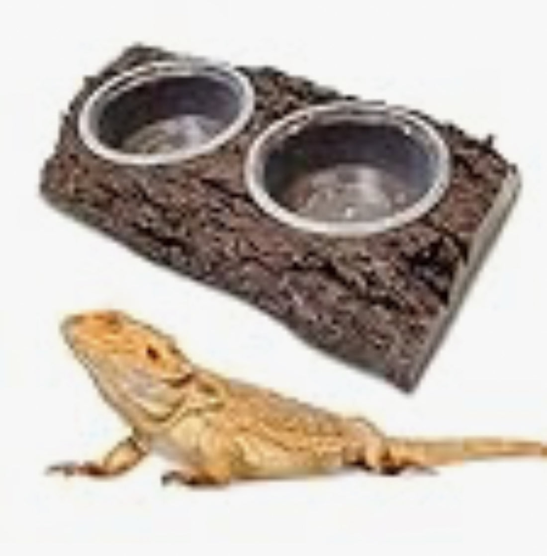 double gecko feeding bowl