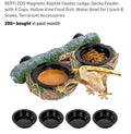Reptizoo magnetic double ledge gecko feeder