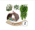Hercocci bearded dragon, lizard, or chameleon tank decoration & climbing