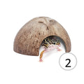 Coconut hide 2 pack