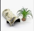 Reptile hides and birch tree bark medium