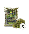 Sphagnum moss for reptiles terrariums