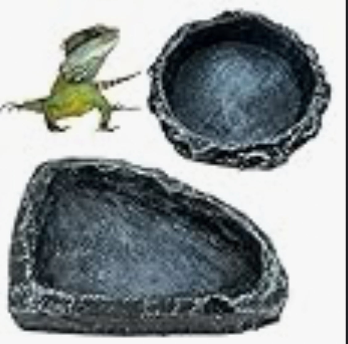 2 Pack reptile feeding dish and corner water bowl
