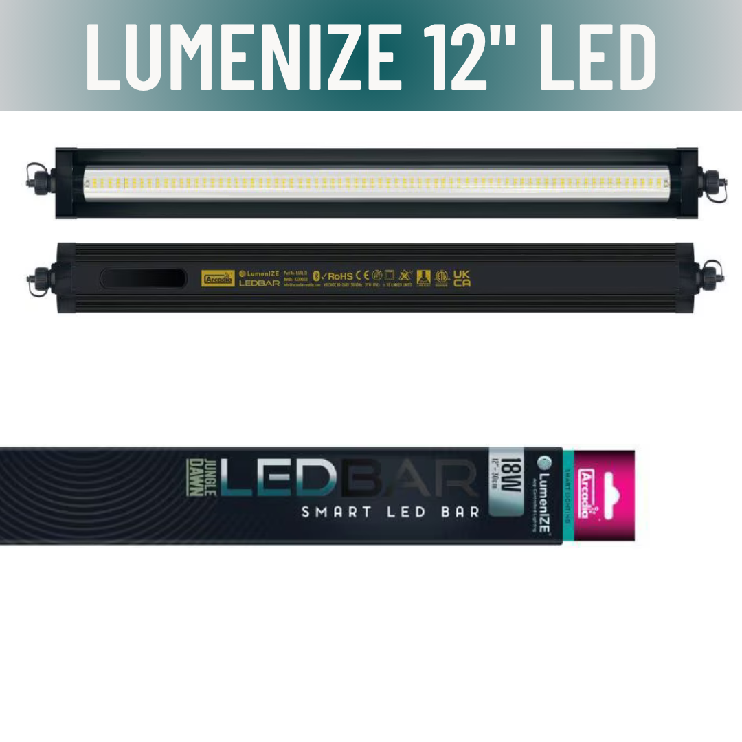 LumenIZE Jungle Dawn LED Bar