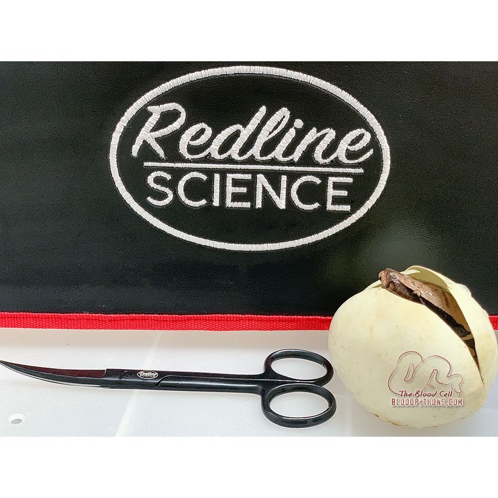 Curved Fine Point Scissors for egg cutting