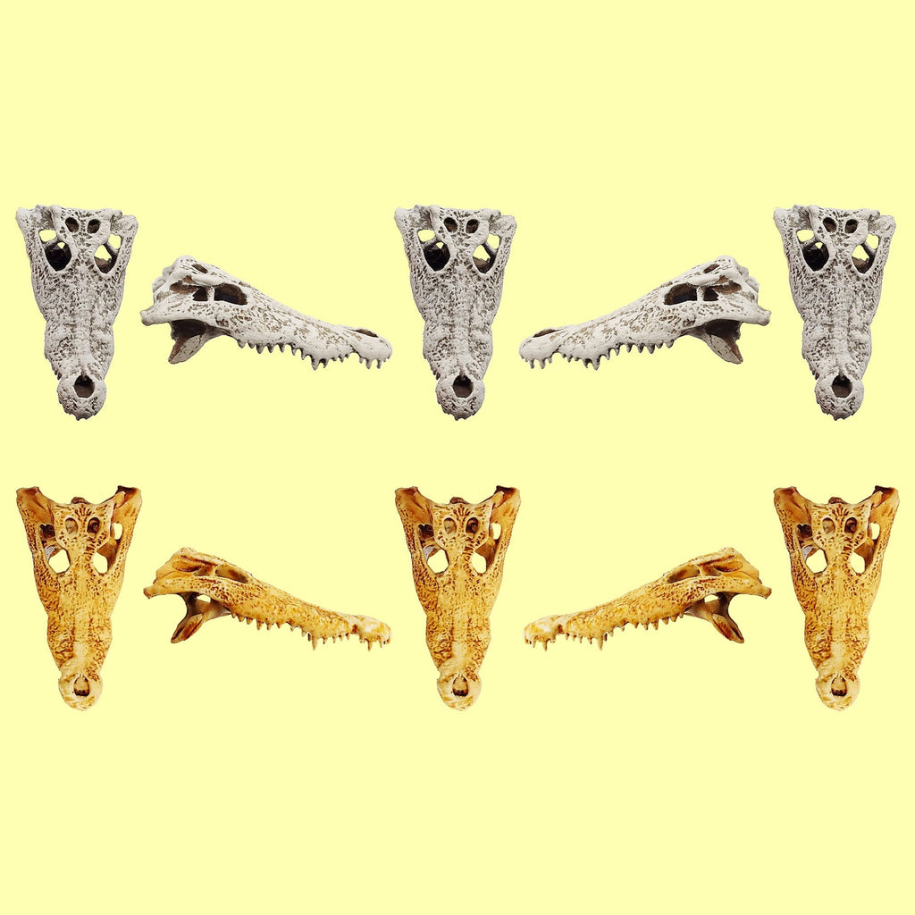 Crocodile Skull (Field Bones #32: Africa) 1:12 scale replica reptile skull for diorama, dollhouse, terrariums, art craft supplies curiosities oddities (set of 5)
