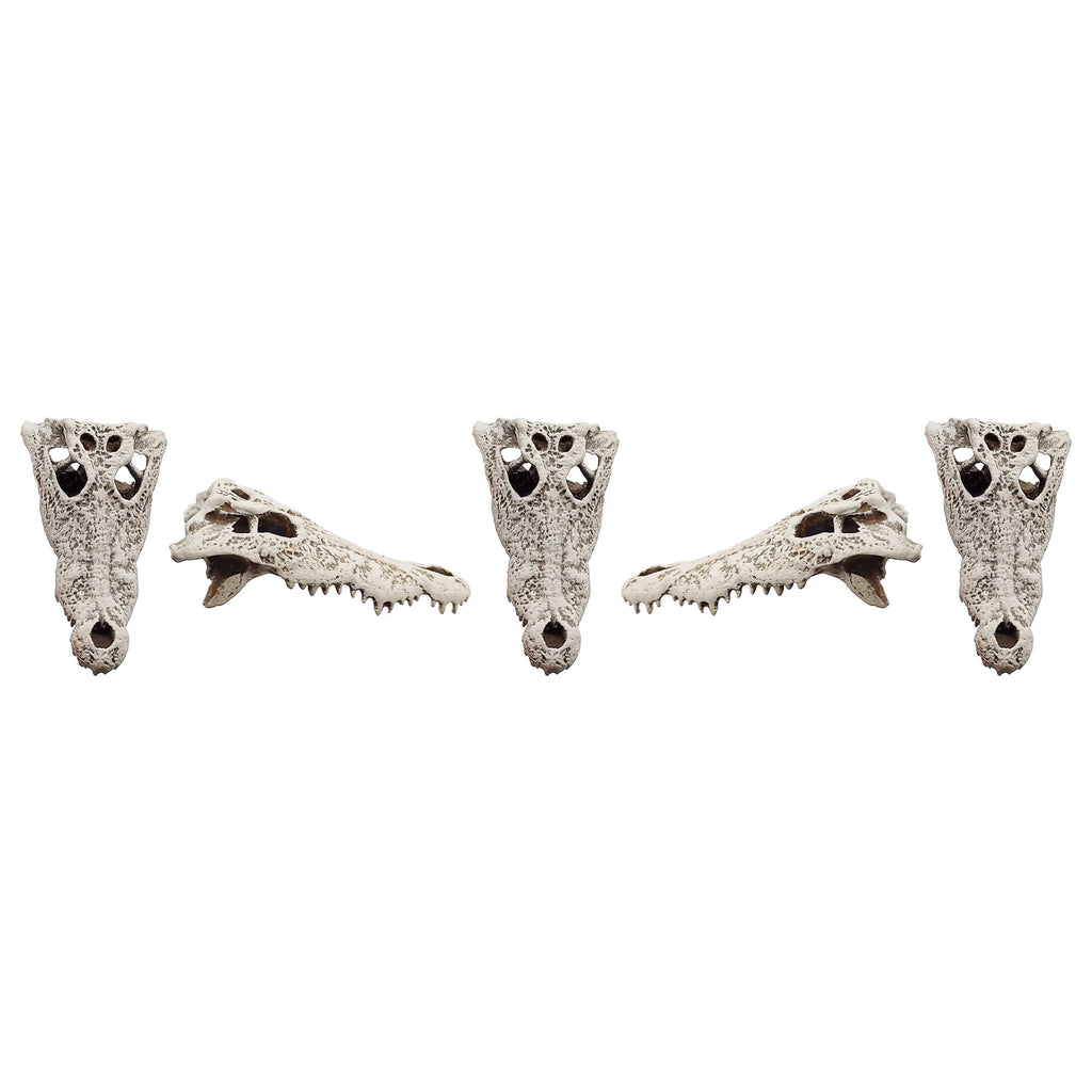 Crocodile Skull (Field Bones #32: Africa) 1:12 scale replica reptile skull for diorama, dollhouse, terrariums, art craft supplies curiosities oddities (set of 5)
