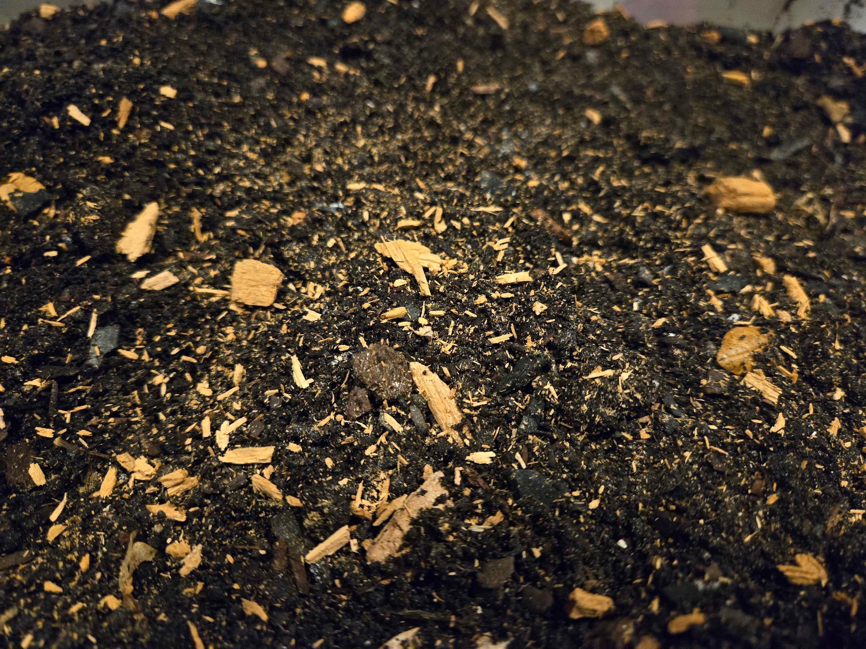 Premium Isopod Substrate - Nutrient-Rich Bioactive Terrarium Mix