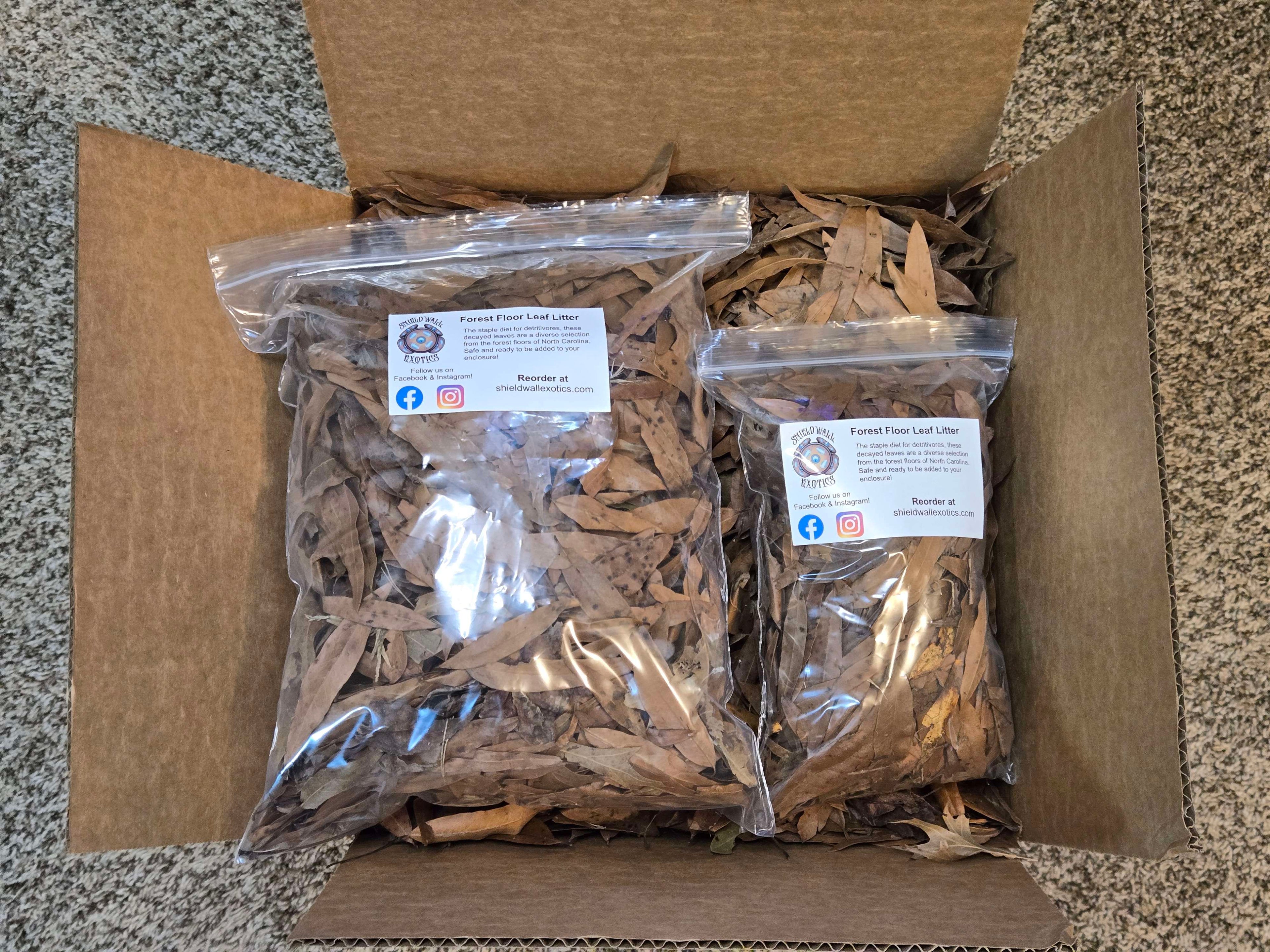 Forest Floor Leaf Litter (3 Sizes!)