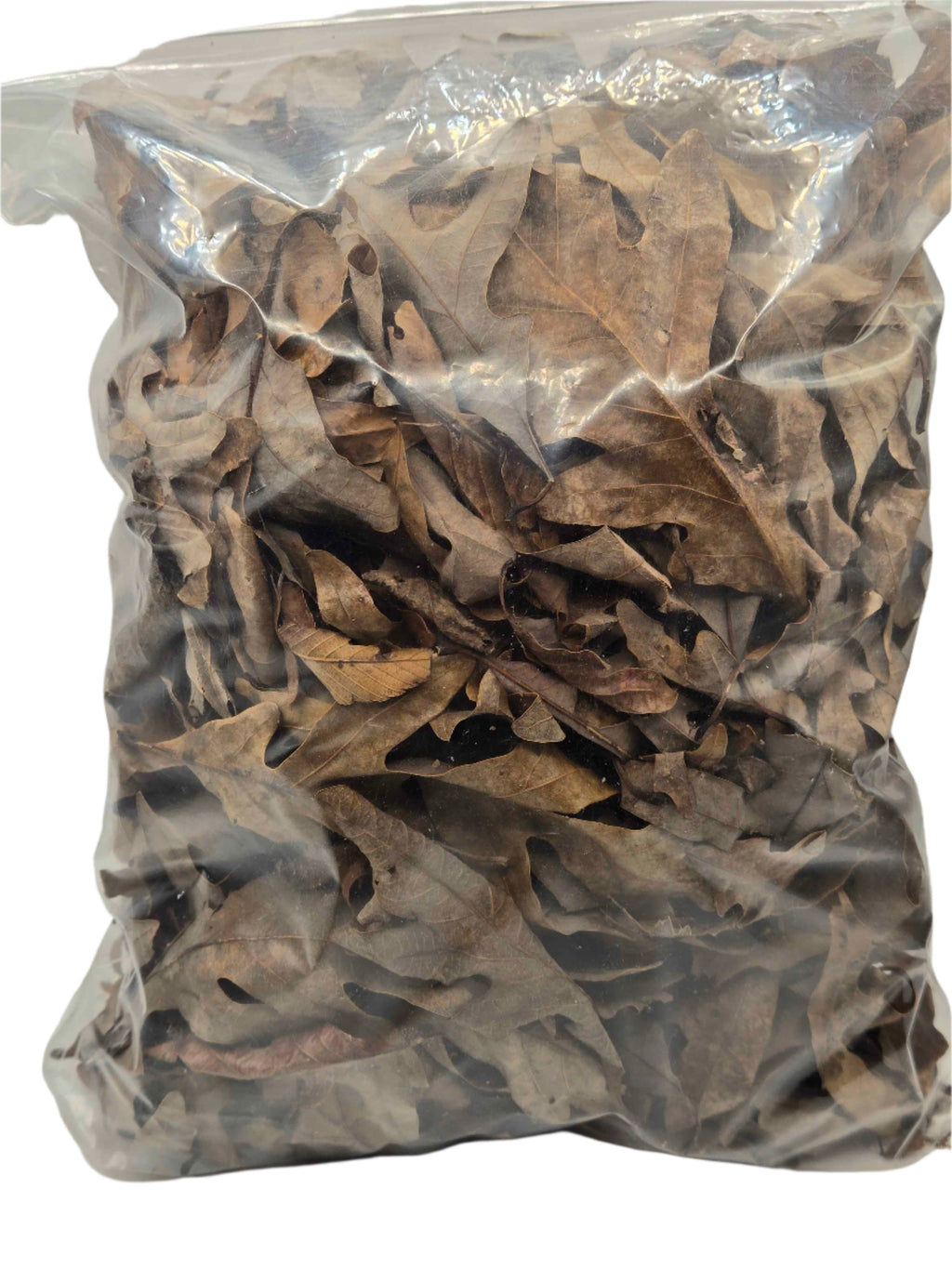 Forest Floor Leaf Litter (3 Sizes!)