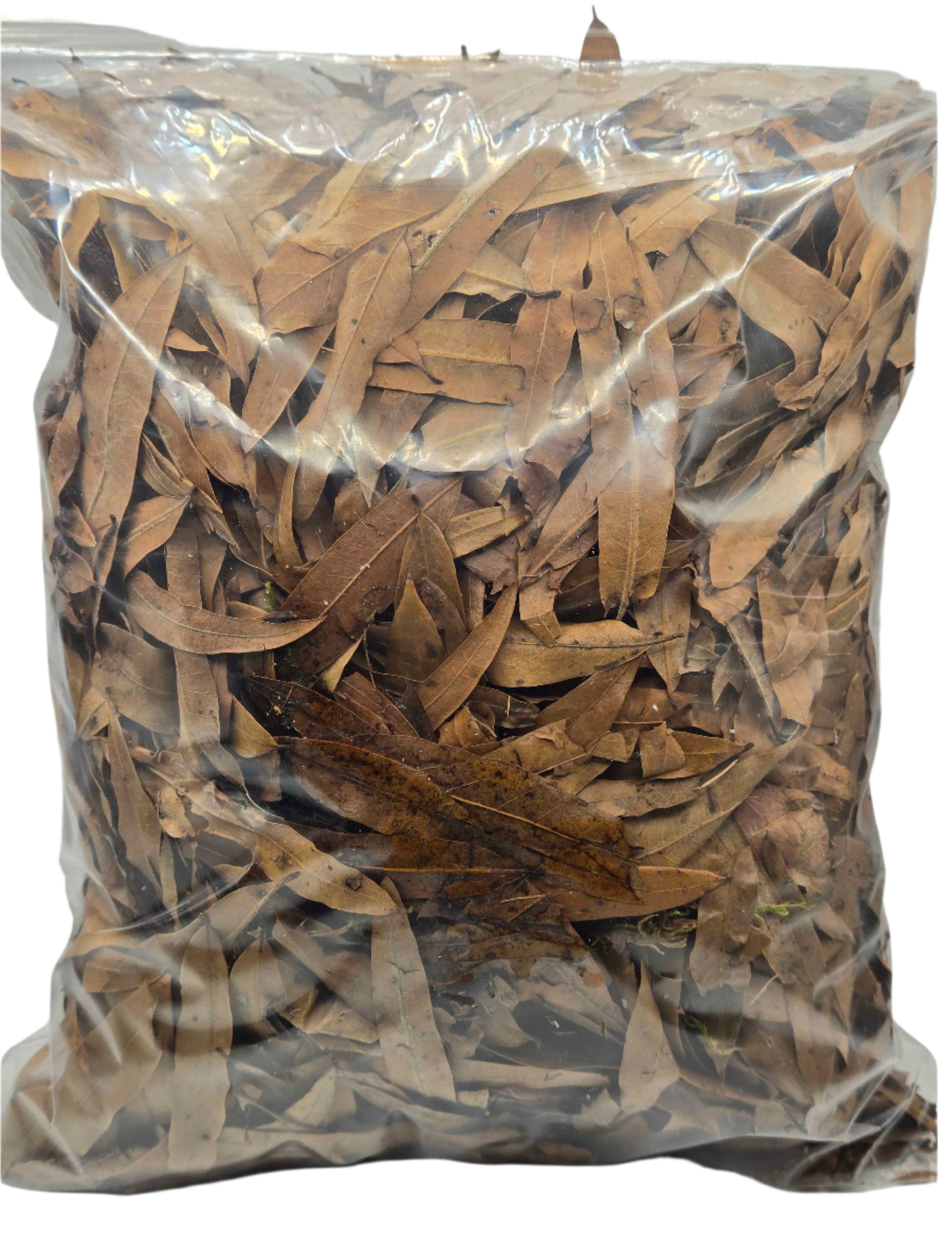 Forest Floor Leaf Litter (3 Sizes!)